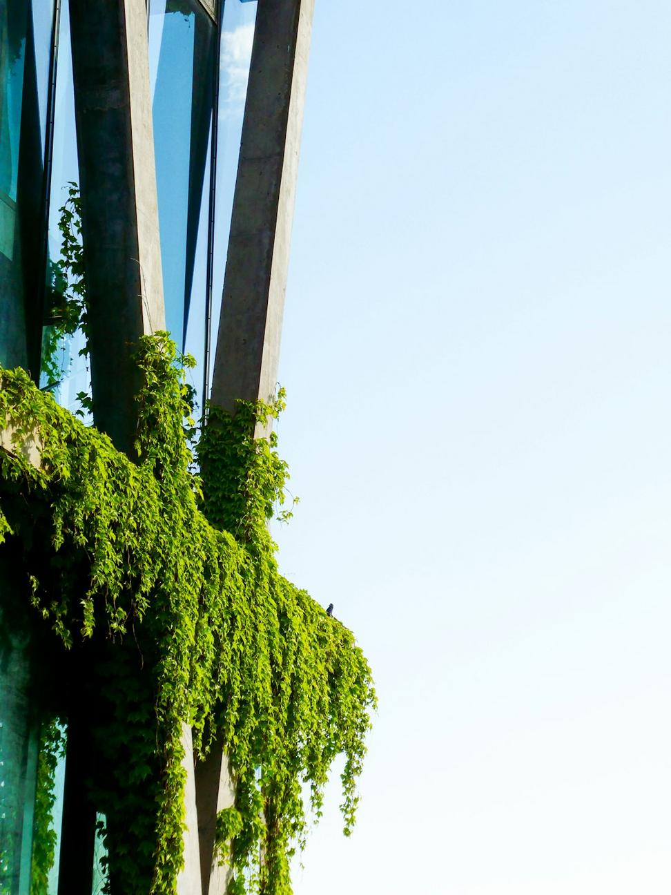 Innovation Hub Building