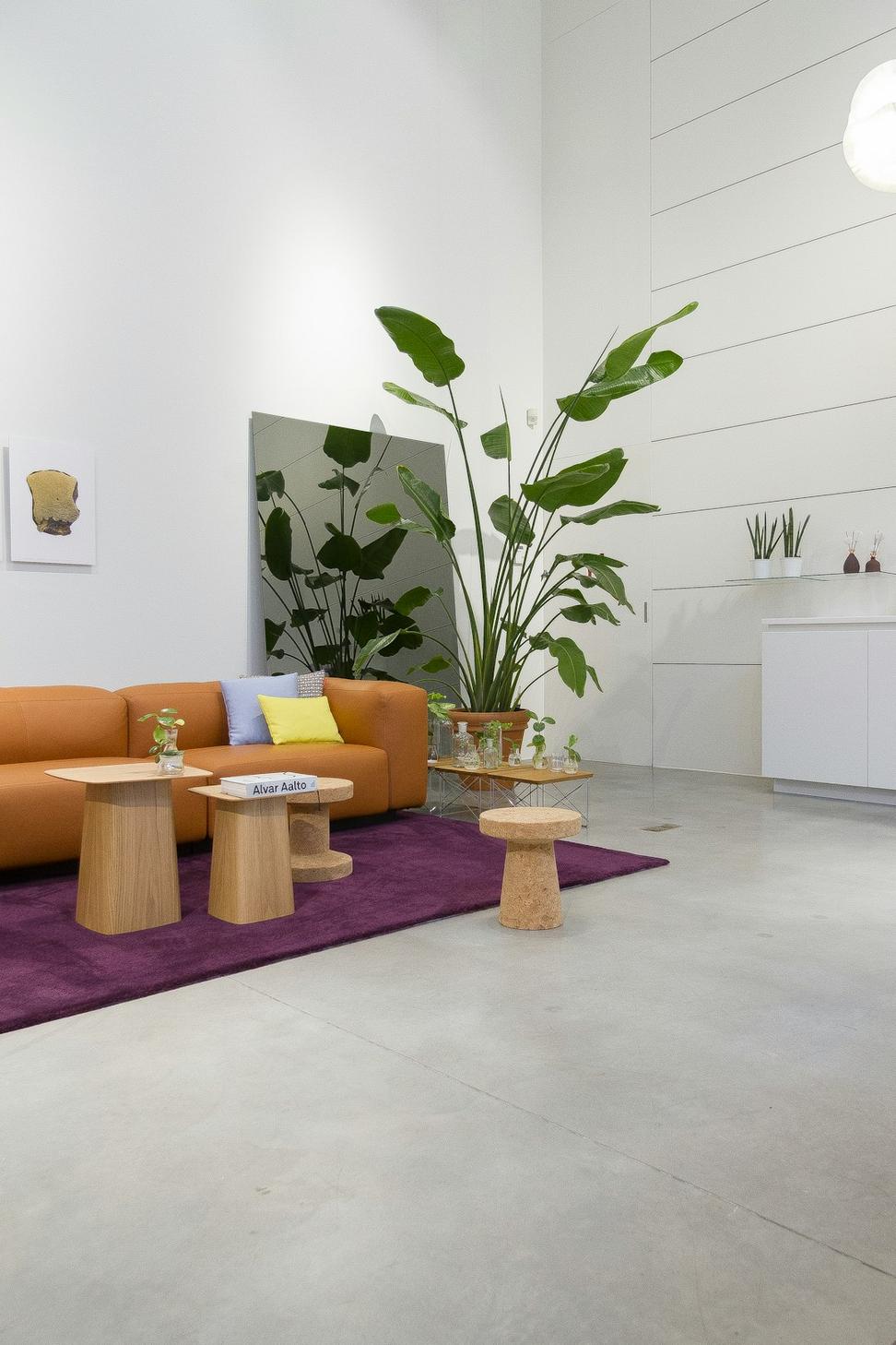 Mountain View Interiors