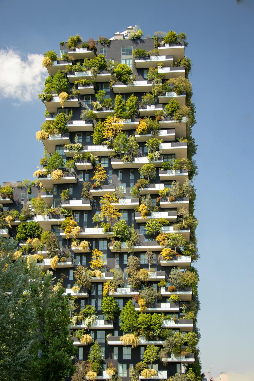 Zero Carbon Building